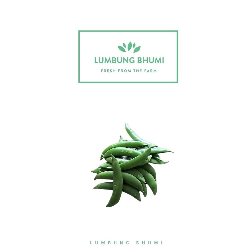 

Lumbung Bhumi - Kacang Kapri Manis Impor 250 Gr ( Sayur Curah ) aSt