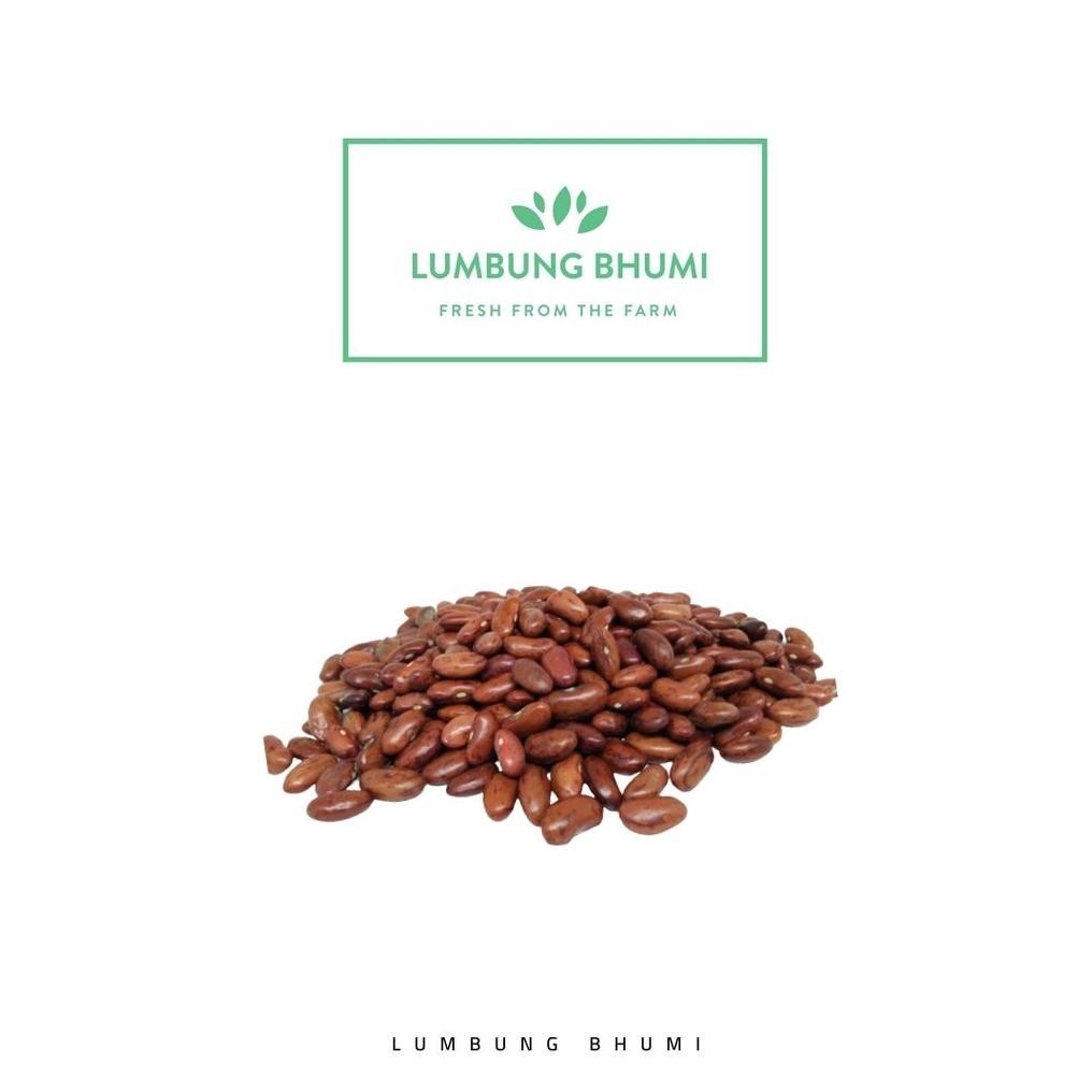

Lumbung Bhumi - Kacang Merah Kering 500 Gr ( Sayur Curah ) aSt