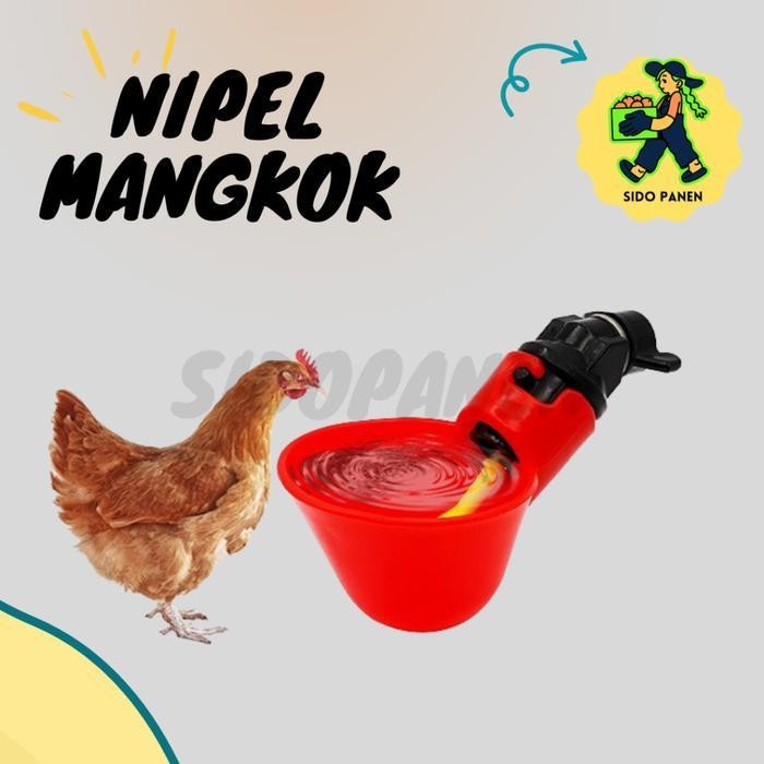 ATS Nipel Nipple Nipple Mangkok minum unggas tipe A10 cocok untuk burung ayam bebek