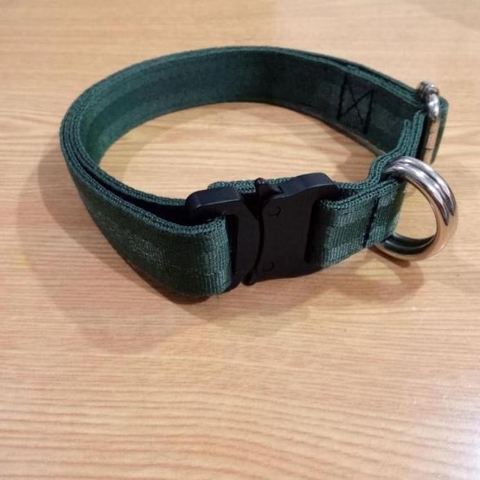 Tactical Dog Collar Adjustable Metal Buckle Kalung Anjing Besar Medium