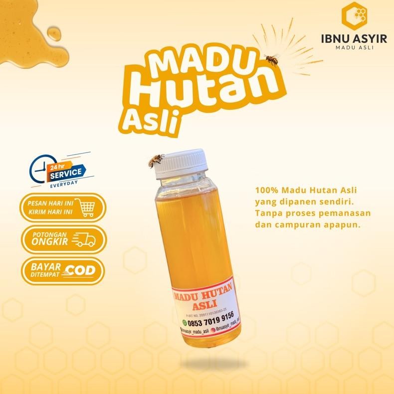 

(Terbaru) Madu Hutan Asli Ibnu Asyir 250ml (300g) Meningkatkan imunitas tubuh mengatasi penyakit Lambung Maag Program Hamil (Terlaris)