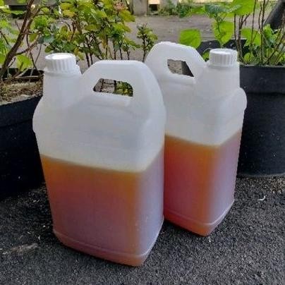 

(Terbaru) Madu Curah Hutan Sialang Premium 5kg (Terlaris)