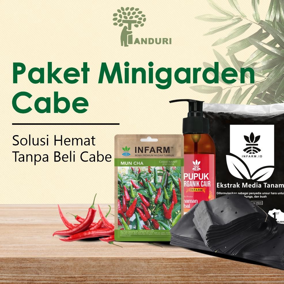 Paket Minigarden Cabai Berkebun Siap Tanam POC Cabai Media Tanam Polybag dan Benih Original Infarm M