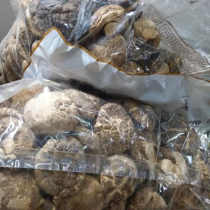 

Jamur Shitake Kering 100Gram Kualitas Terbaik Harga Termurah