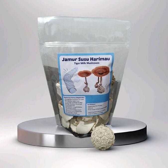

Jamur Susu Harimau / Tiger Milk Mushroom 100% Asli Kualitas Terbaik Harga Termurah