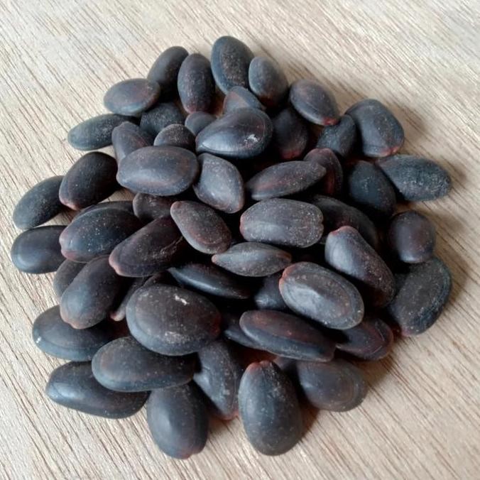 

(Allthebest) Biji Kedawung 1kg Kedaung Kwalitas Premium