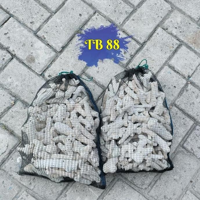 

Tersedia Karang Jahe Isi 8 kg Dua Kantong Plus Jaring