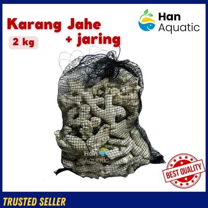 Tersedia Batu Karang Jahe 2Kg Media Filter Aquarium dengan Jaring Premium