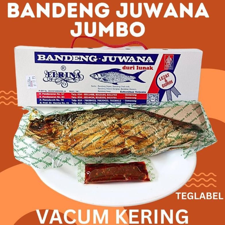 

Bandeng Juwana Jumbo Bandeng Erlina Ukuran Jumbo Bandeng Presto Duri Lunak Terbaru