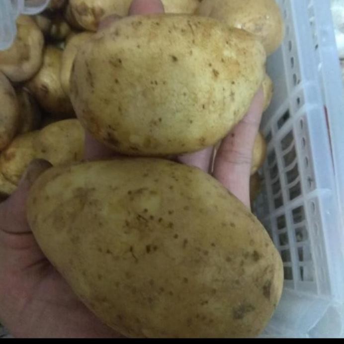 

Kentang 10 Kg Pasti Ori