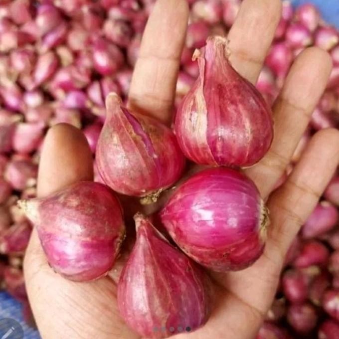 

Bawang merah besar 1kg/bawang merah brebes besar 1kg. Masakan Rempah Bahan Pedas ms