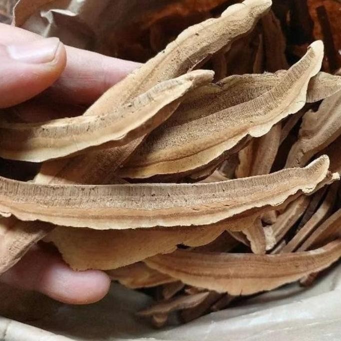 

Jamur Lingzhi Kering Iris 100 gram - Jamur Ling zhi Iris Asli.