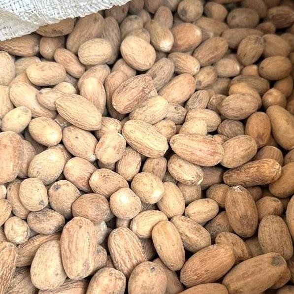 

Biji Pala Lonjong Kupas 100gr / 250gr - Pala Kupas Lonjong