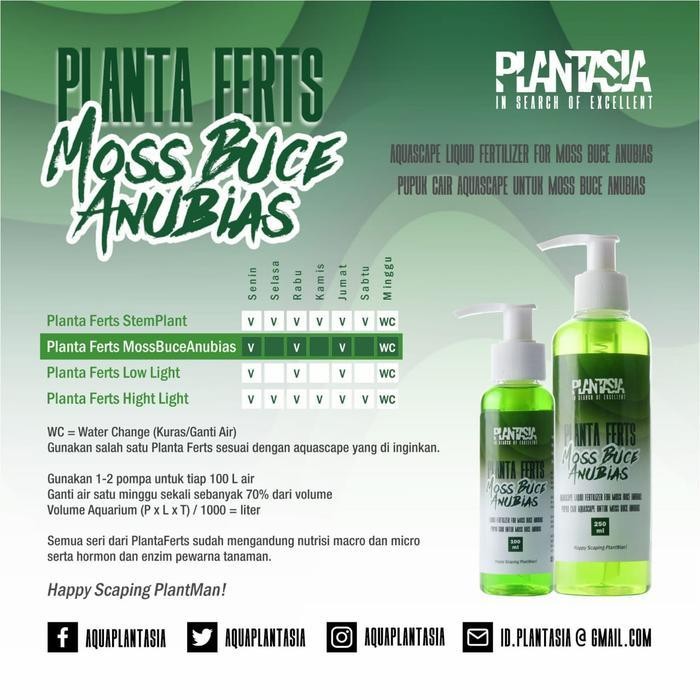 RA PLANTASIA MOSS BUCE ANUBIAS 200 ML