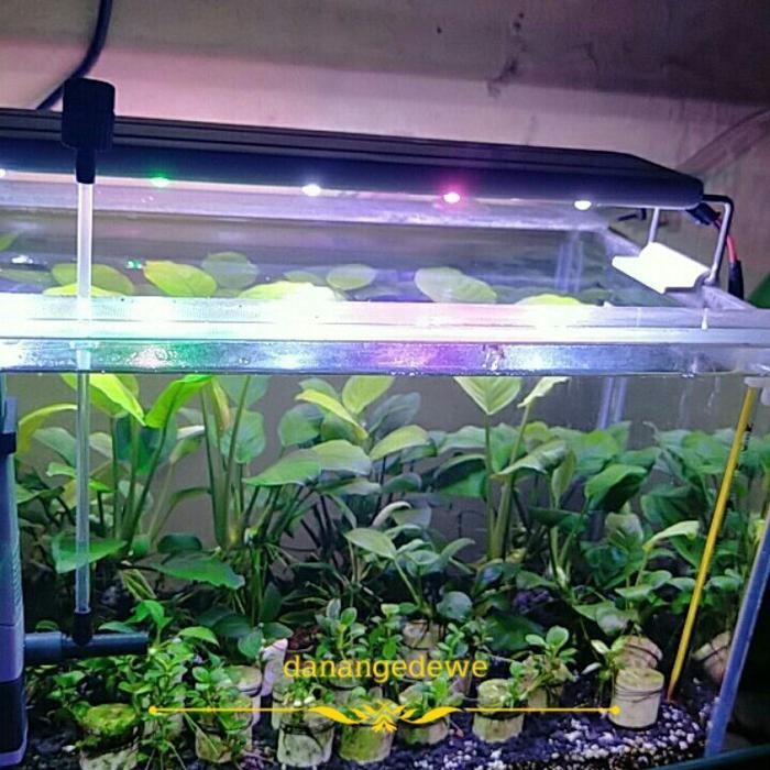 RA Filter Mini Aquarium USB Mini Submersible