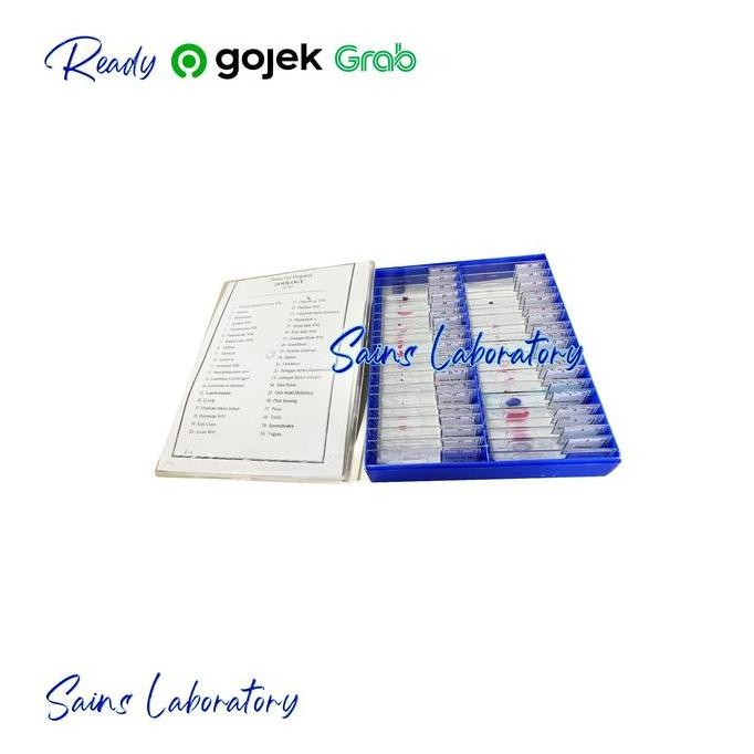 Preparat Zoologi 1 Set 40 Jenis Awetan Preparat Hewan Set Mikroslaid