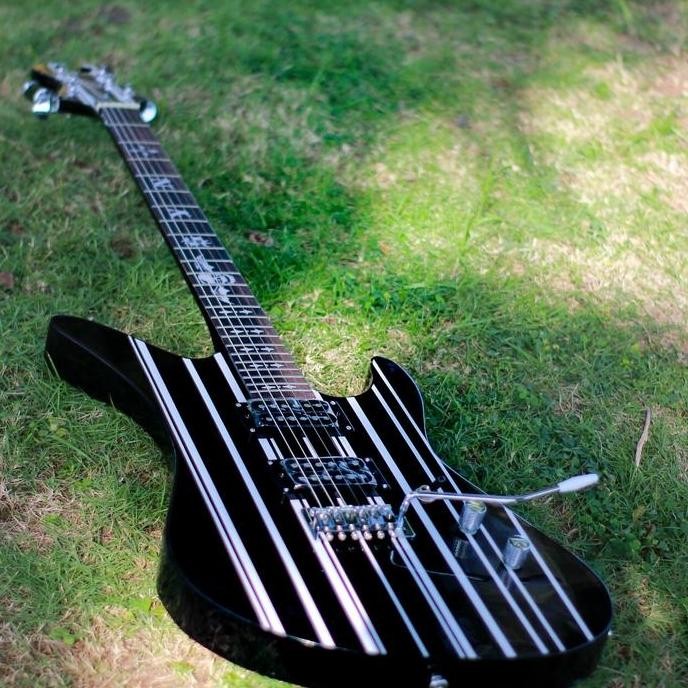 GITAR LISTRIK SHECTER DIAMOND SERIES LA