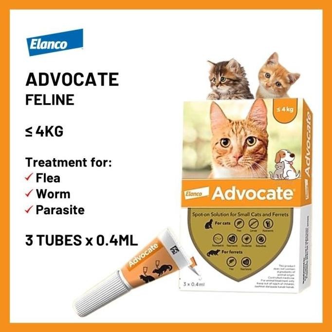 OBAT KUTU KUCING / ADVOCATE