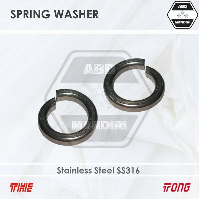 Ss316 Ring Per Ver Stainless M10 ( Sus316 Spring Washer) 10