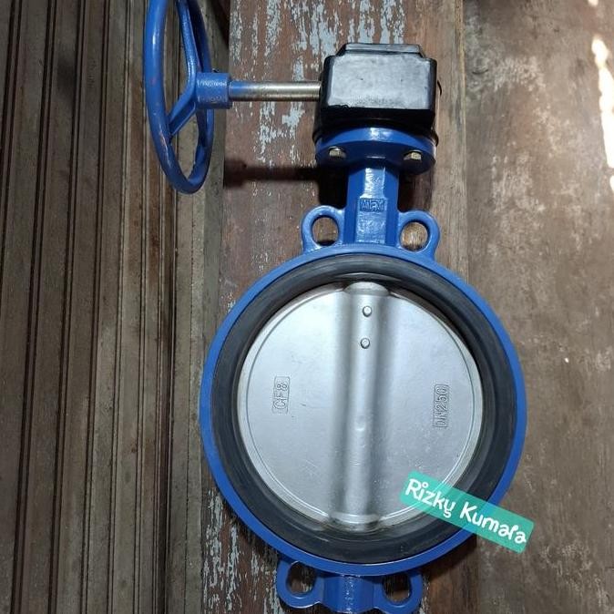 PROMO Butterfly Valve 10" Inch Cast Iron DN 250