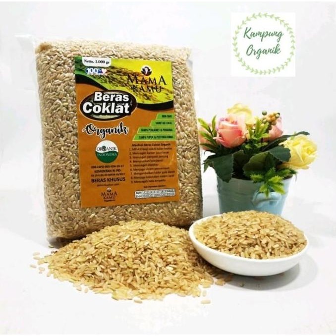 

(Expert) Beras Cokelat Organik
