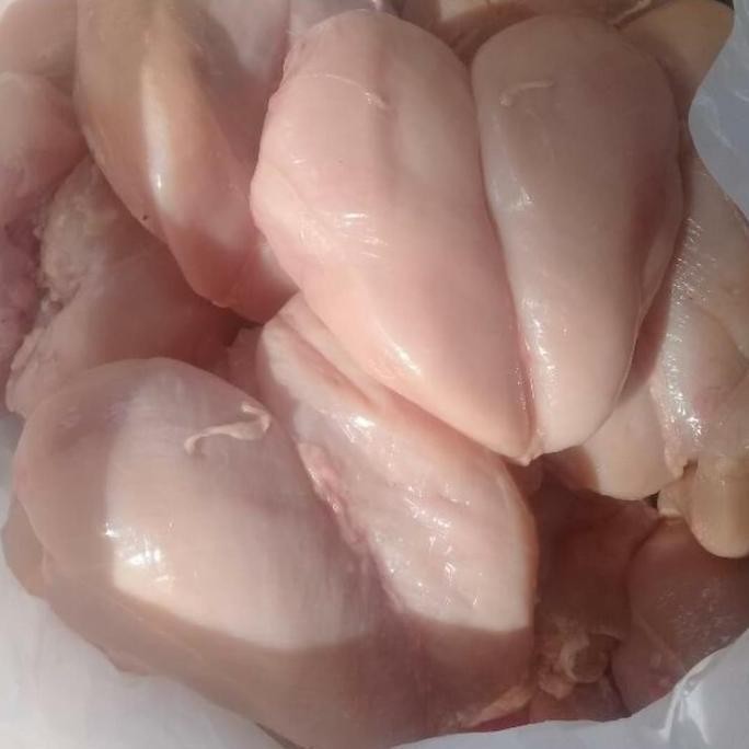 

JH8 fillet dada ayam fresh