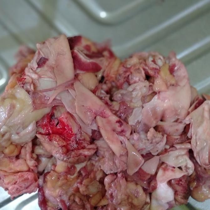 

JH8 sesetan daging | daging kandang