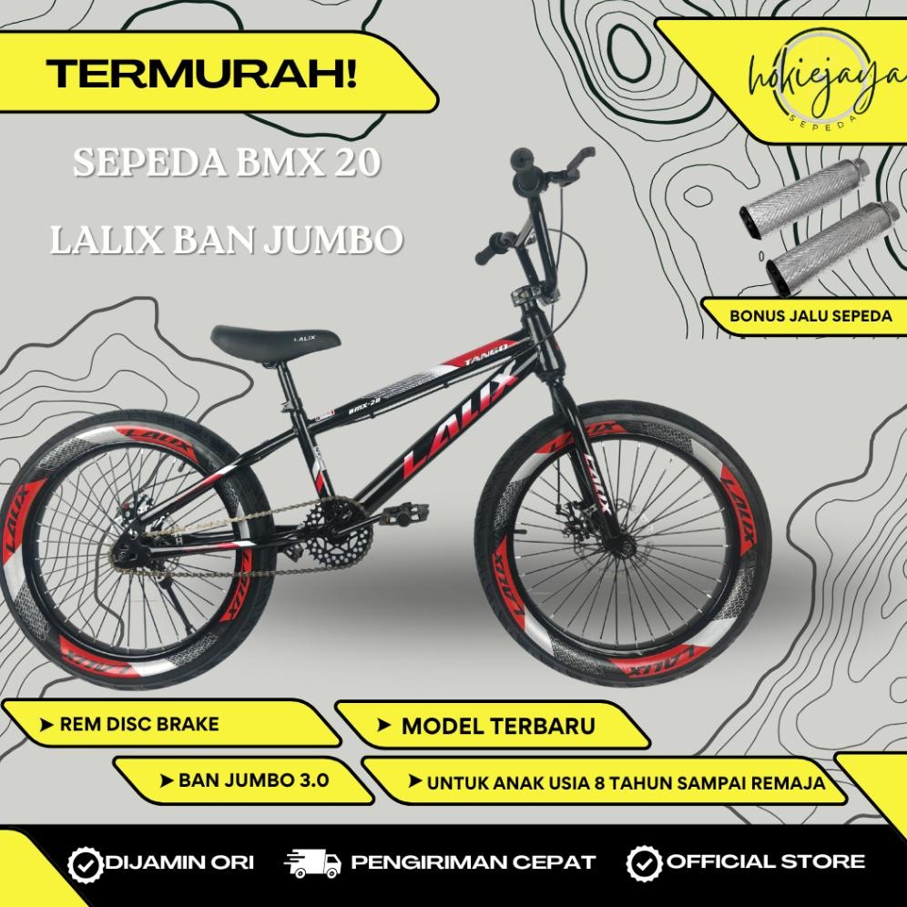 Murah Sepeda Bmx 20" Phoenix - Velion - Foster Ban 20 X 3.0 Dan 2.40 Discbrake Dan V Brake  Untuk An
