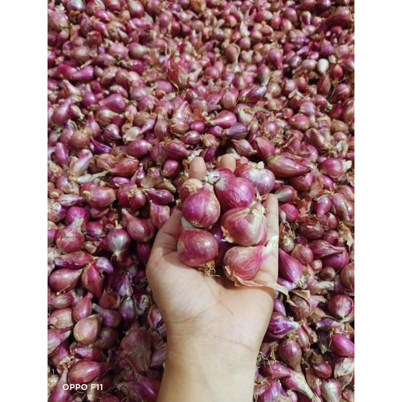 

Ready_Stock_Cod Bawang Merah Lokal 1Kg Er-87
