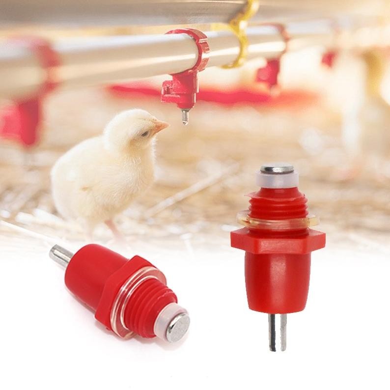 Premium 10pcs Nipple Minum Otomatis Ayam Puyuh Nipel Nepel Drinker Tempat Minum Broiler Puyuh High Q