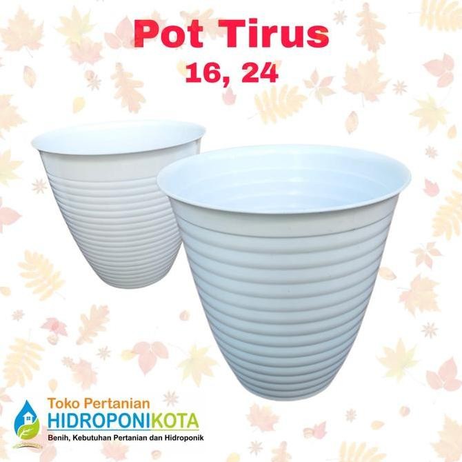 Pot Tirus 15 - Pot Tirus 16 - Pot Bunga Putih - Ssn/Putih/D16