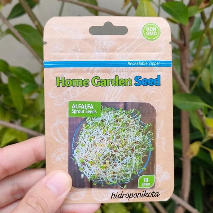 Benih Microgreen Alfafa Sprout - Hgs