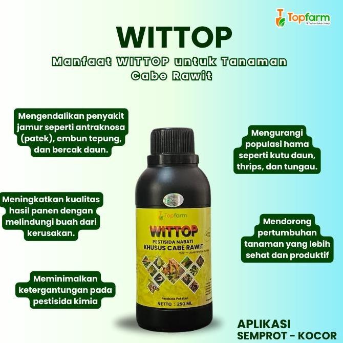 Obat Patek Terbaik - Obat Patek Cabe Paling Ampuh / Obat Patek Untuk Cabe Rawit / Obat Patek Cabe Ra