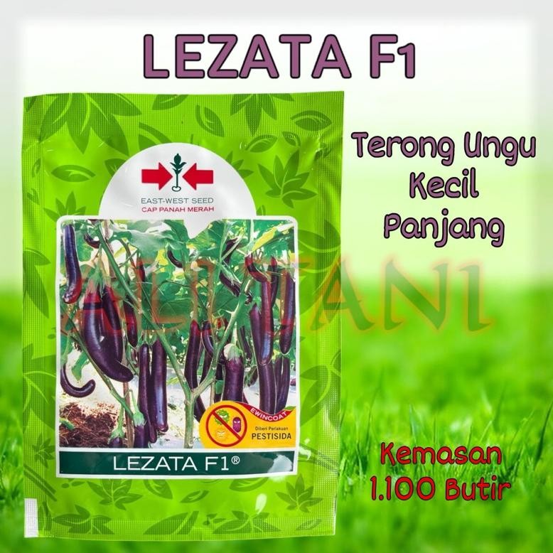 [Kecil Lezata F1 Benih/Bibit Terung/Terong Ungu Panjang Cap Panah Merah Ewsi Ve29