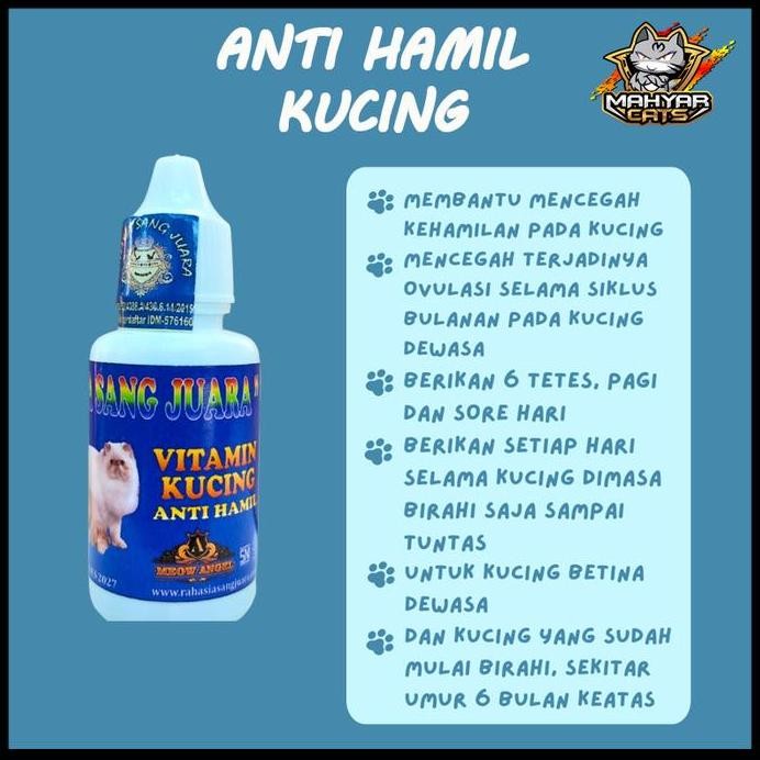 Obt Anti Hamil Kucing Mencegah Kehamilan Kucing dan Proses Ovulasi Pada Kucing Obt KB Kucing Pencega