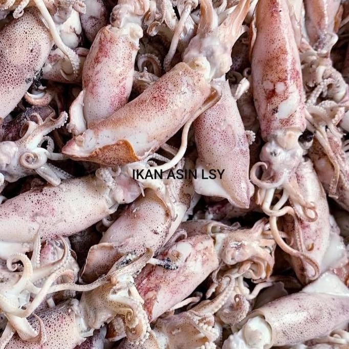 

Cumi Asin Rebus / Sotong Rebus Size Jumbo 1Kg