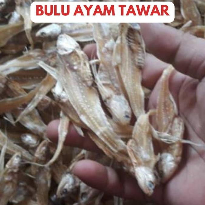 

Ikan Asin Bulu Ayam 100 Gr Cap Toke Bagan Siapi Api