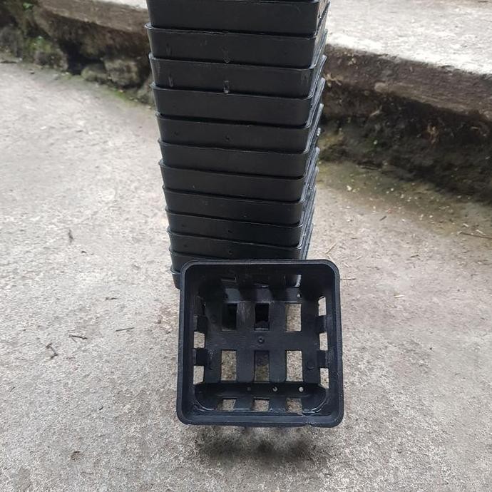 Tray Semai Anggrek 1 Lubang - Pot Bibit Benih
