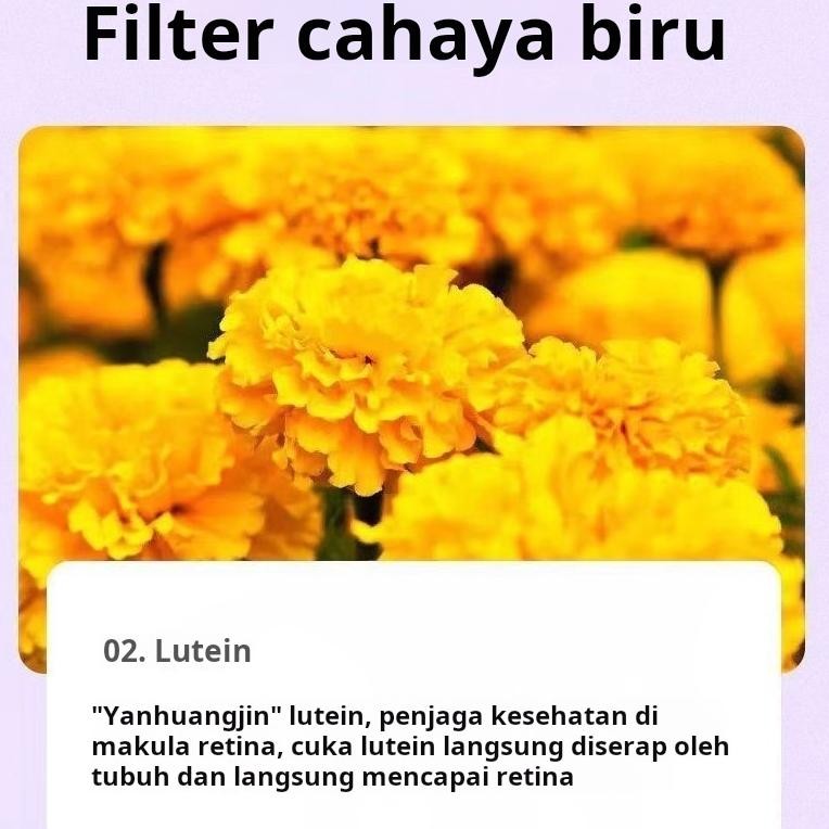 Obat Tetes Mata Tetes Mata 12ml Obat Tetes Mata Katarak Mata Kering Mata Kering Sakit ND2