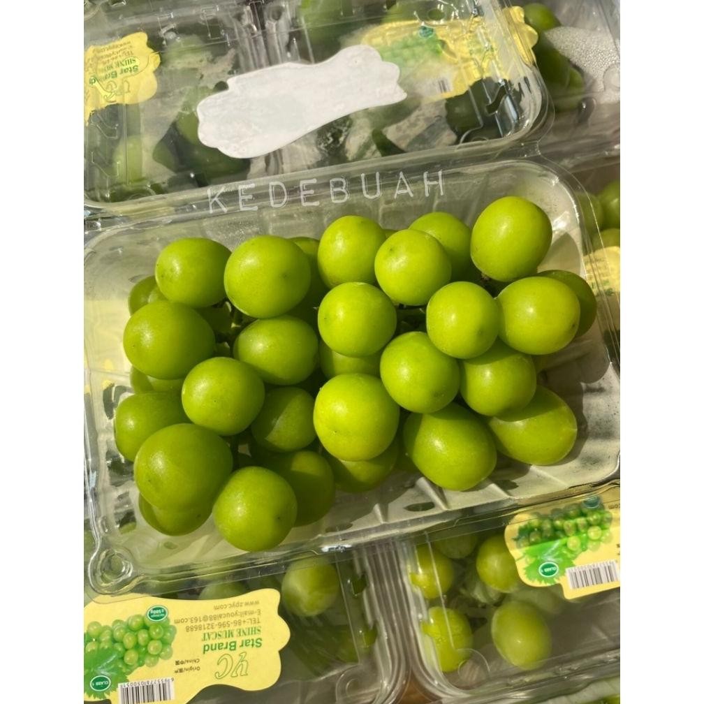 

{Salt} Anggur Shine Muscat Green 500 Gr Qw-7
