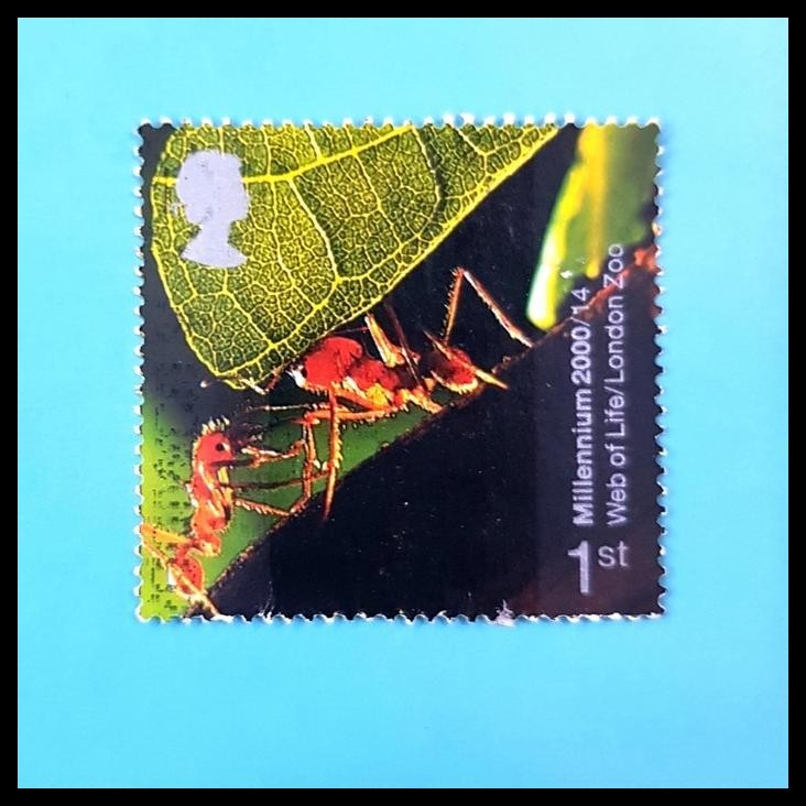 

BEST DEAL PRANGKO INGGRIS. SEMUT ~ MILLENIUM 2000. LONDON ZOO !!!!!