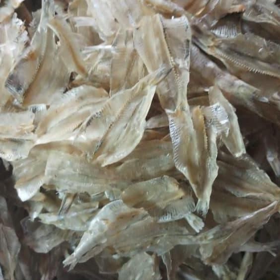 

Kalapan/Rampai/Pakang Tawar Krispi