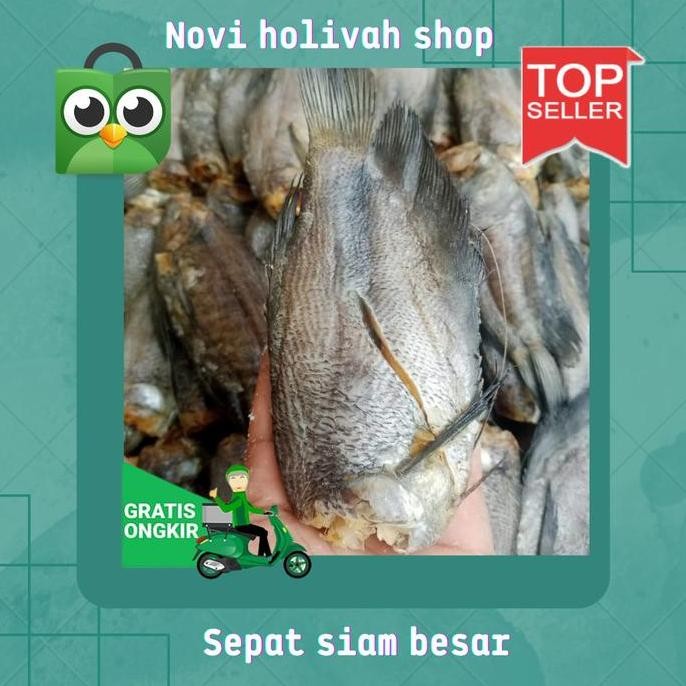 

Ikan Asin Sepat Siam :250 Gram