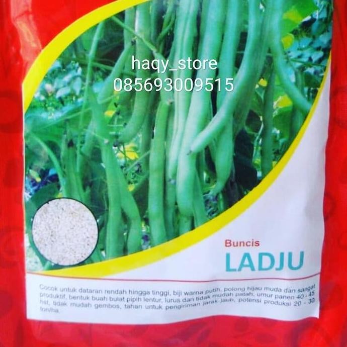 

New Item!, Benih Buncis Ladju 500Gr