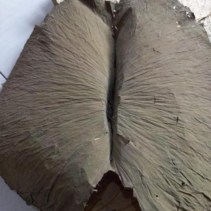 

Daun Teratai Kering 100gram/ Dried Lotus Leaf Bentuk Lembaran