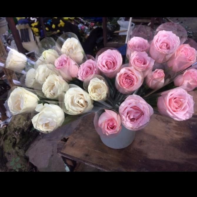 bunga mawar asli 1 tangkai