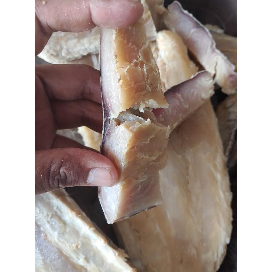 

Ikan asin jambal roti - jambal mentega asli ngeprul empuk FULL DAGING TANPA TULANG- jambal manyung otek Makanan Food