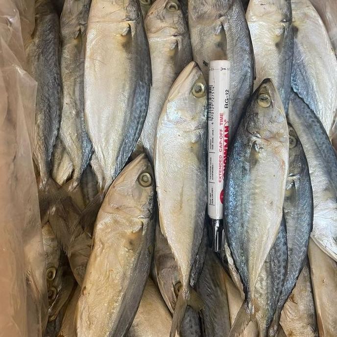 

ikan asin Peda Putih jumbo 500gram