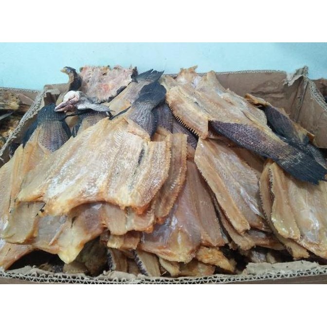 

ikan asin gabus super 1 kg Bayar ditempat Frozen Segar murah Laut