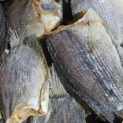 

ikan asin sepat tembakang jumbo/250 gr
